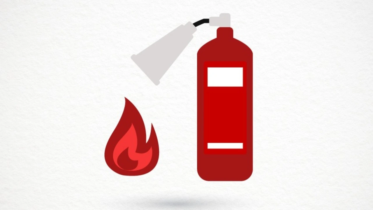 Imagem de capa da matéria: 